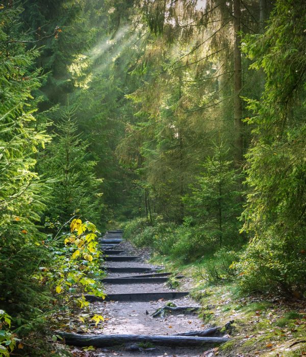 journey